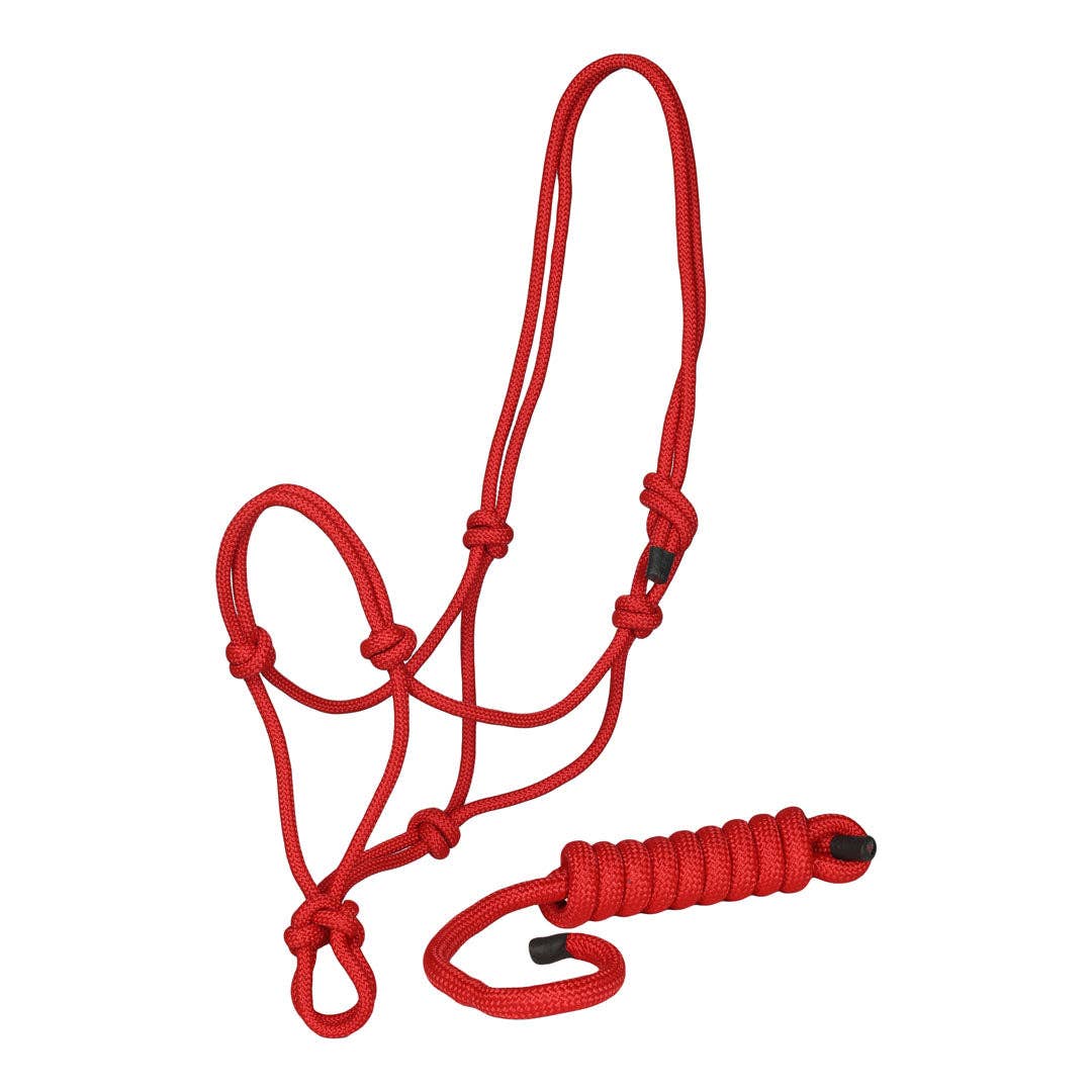 TuffRider Rugged Rope Halter with matching lead: Blue / Horse