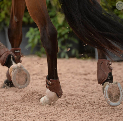 EQUIFIT T-Boot Luxe™ Hind Boot - ImpacTeq® Liner - Leather Equitation Brown Ankle Buckle
