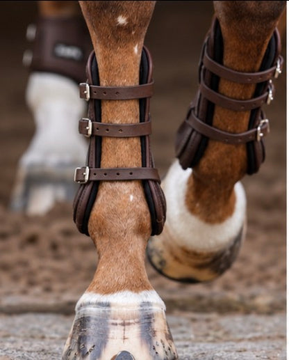 EQUIFIT T-Boot Luxe™ Front Boot - ImpacTeq® Liner - Leather Equitation Brown Ankle Buckle