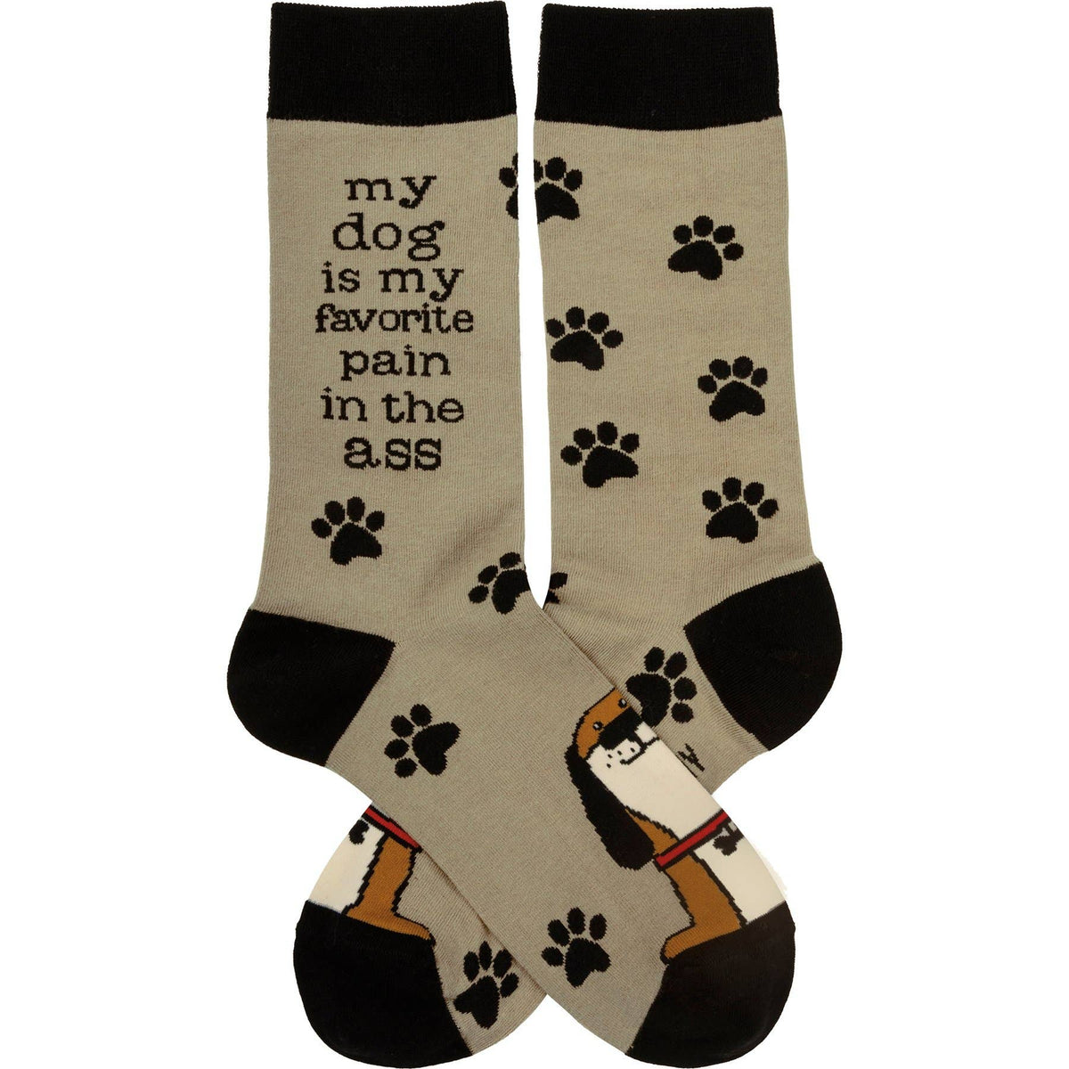 My Dog Is My Favorite Socks