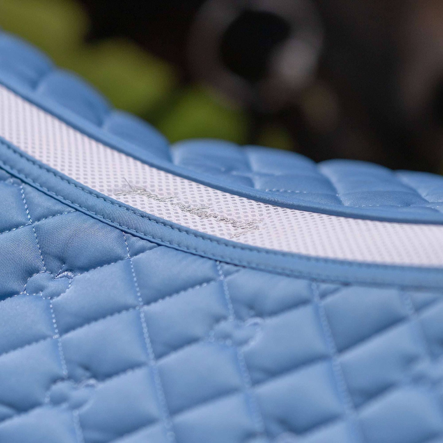Dapplebay  Sport Dressage Saddle Pad - French Blue: Blue / Pony